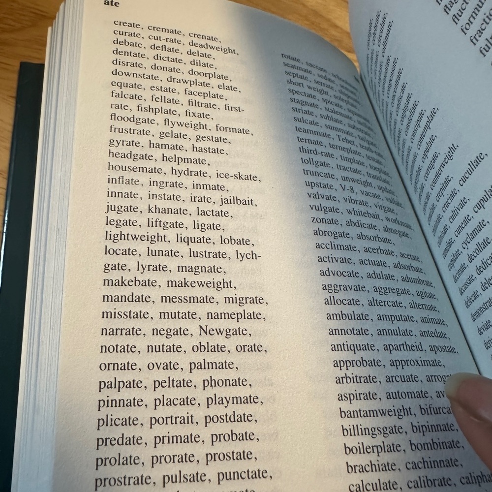 A Merriam-Webster Webster’s Compact Rhyming Dictionary - Picture 4 of 12